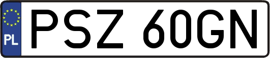 PSZ60GN