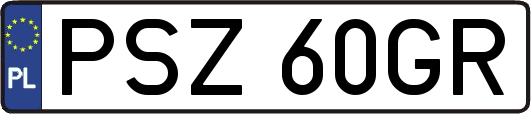 PSZ60GR