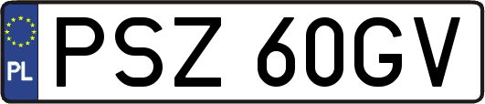PSZ60GV