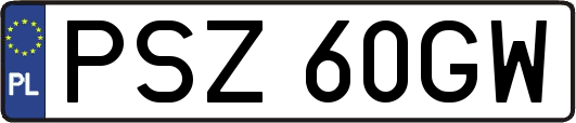 PSZ60GW