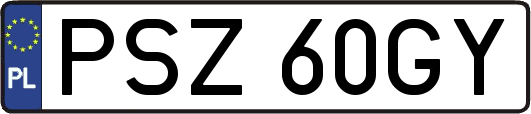 PSZ60GY