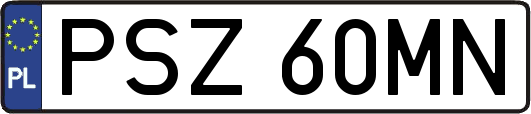 PSZ60MN