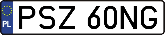 PSZ60NG