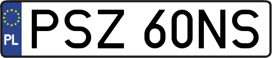PSZ60NS