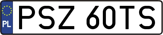 PSZ60TS