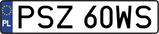 PSZ60WS