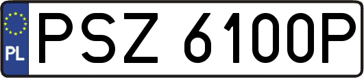 PSZ6100P