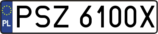 PSZ6100X