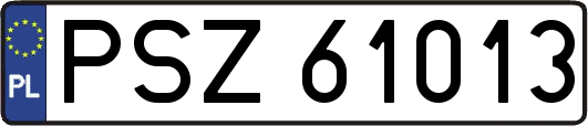 PSZ61013