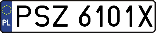 PSZ6101X