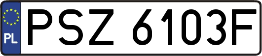 PSZ6103F