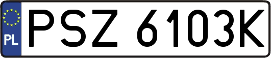 PSZ6103K