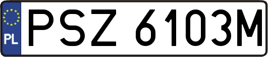 PSZ6103M