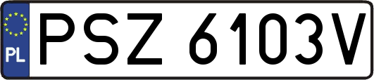PSZ6103V