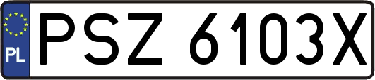PSZ6103X