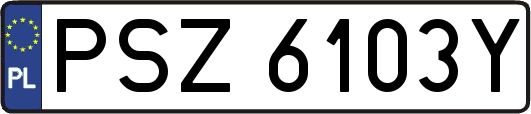 PSZ6103Y