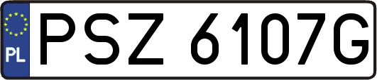 PSZ6107G