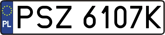 PSZ6107K