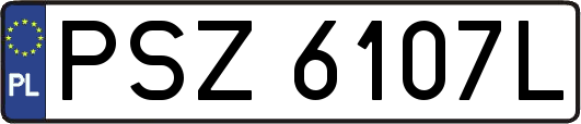 PSZ6107L
