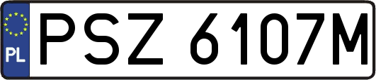 PSZ6107M