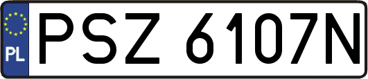 PSZ6107N