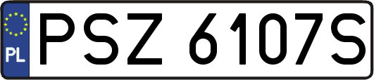 PSZ6107S