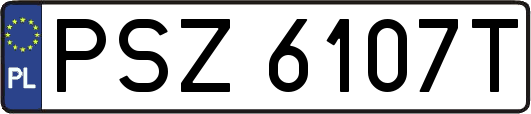 PSZ6107T
