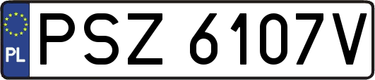 PSZ6107V