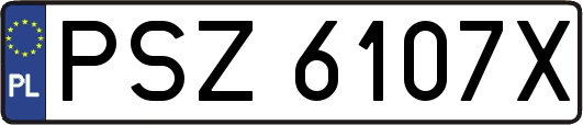 PSZ6107X
