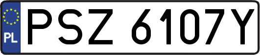 PSZ6107Y