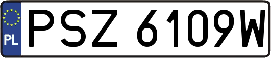PSZ6109W
