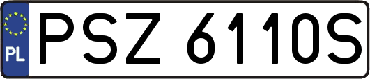 PSZ6110S