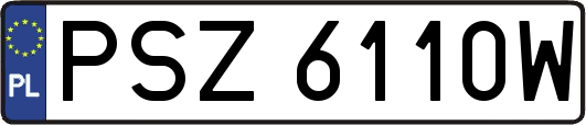 PSZ6110W