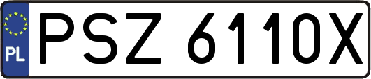 PSZ6110X