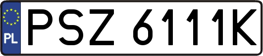 PSZ6111K
