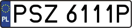 PSZ6111P