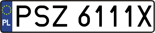 PSZ6111X