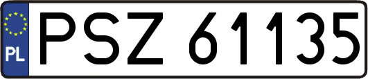 PSZ61135