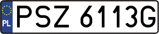PSZ6113G