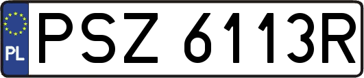 PSZ6113R