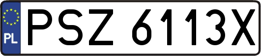 PSZ6113X