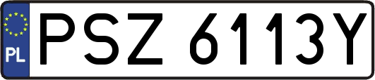 PSZ6113Y