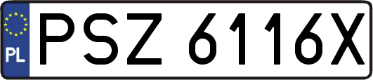 PSZ6116X