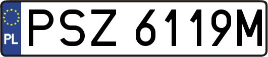 PSZ6119M
