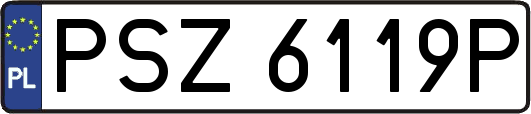 PSZ6119P