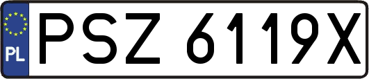 PSZ6119X