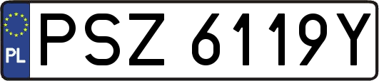 PSZ6119Y