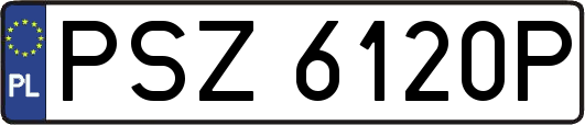 PSZ6120P