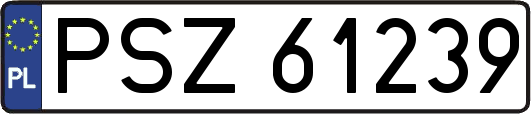 PSZ61239