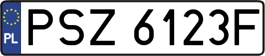 PSZ6123F